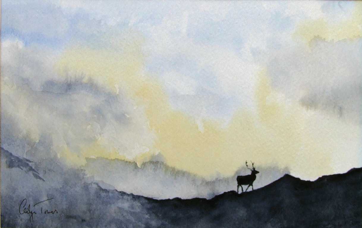 Stag in a Storm